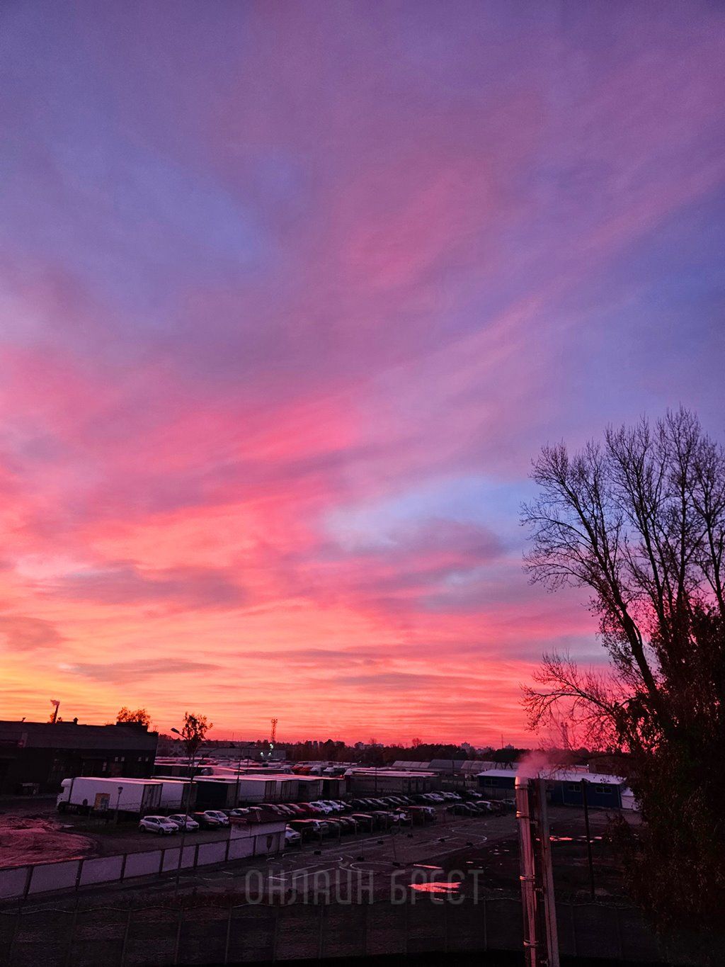 Читательница: Вау! Посмотрите, какой огненный рассвет был сегодня в Бресте