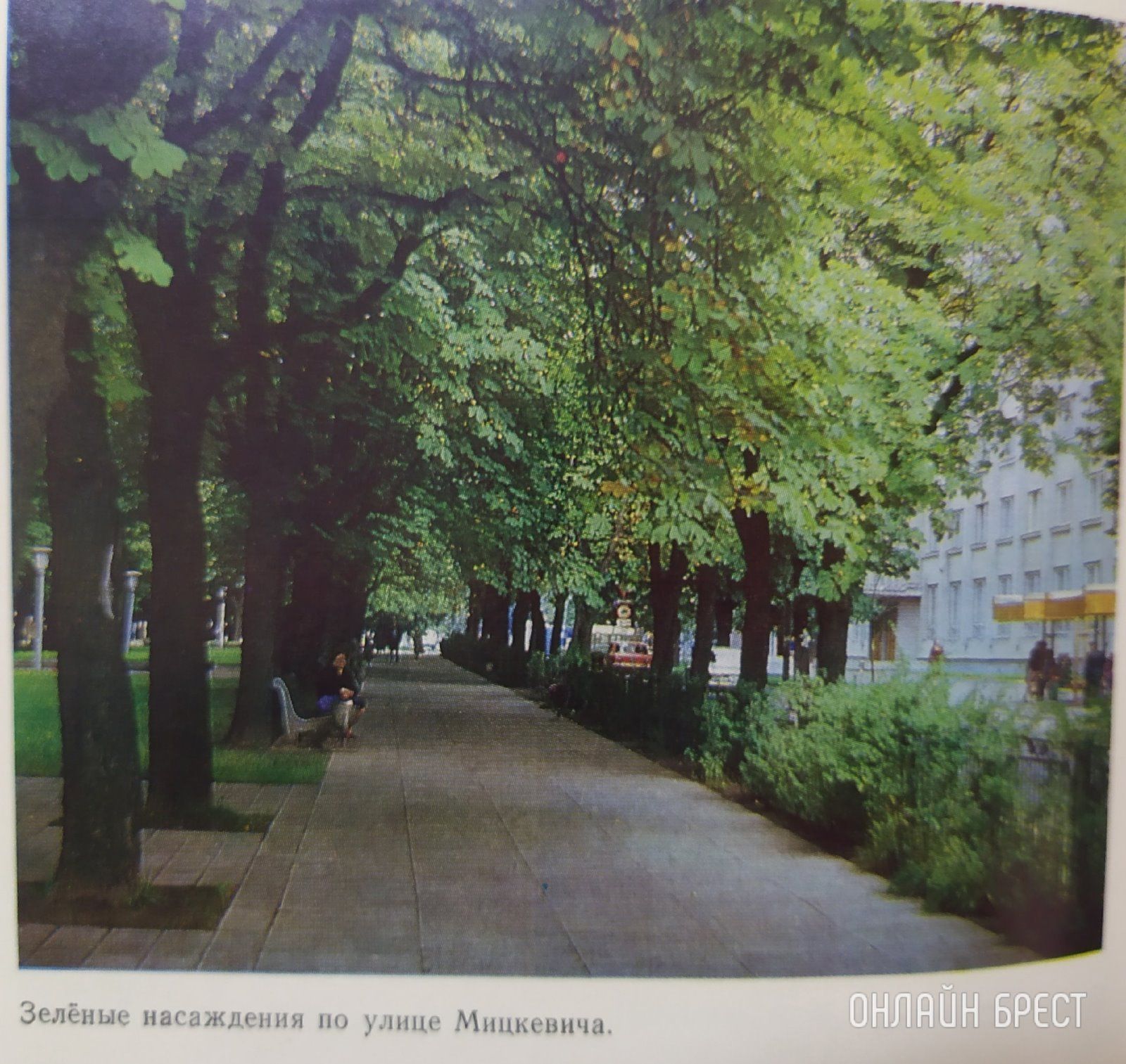 Читатель: Несколько старых фотографий Бреста