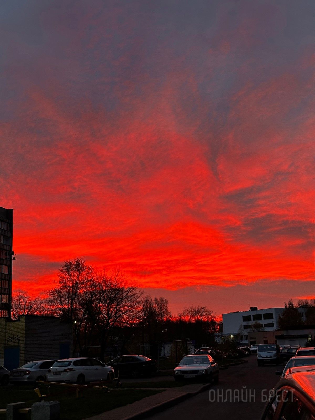 Читатель: Прекрасный рассвет был сегодня в Бресте
