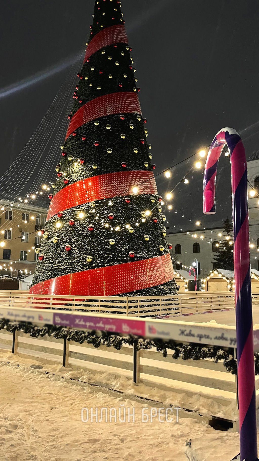 Главная новогодняя красавица Бреста. Фото сделаны сегодня ночью