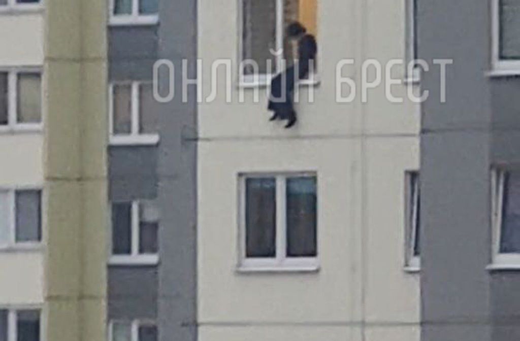 Читатель: Сегодня в Бресте на Махновича ребёнок вылез из окна на восьмом этаже