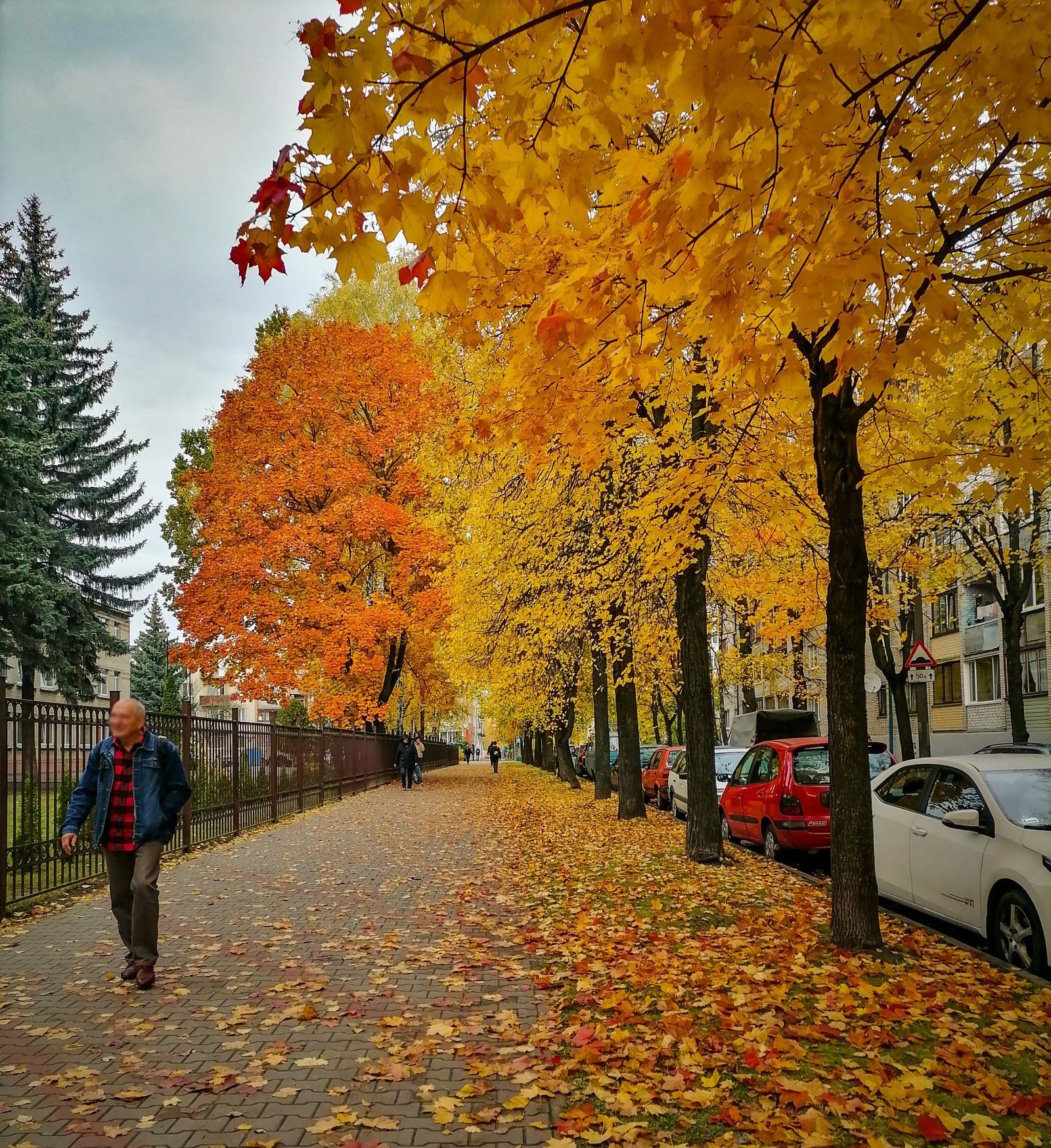 Читатель: Краски осеннего Бреста. Красиво!