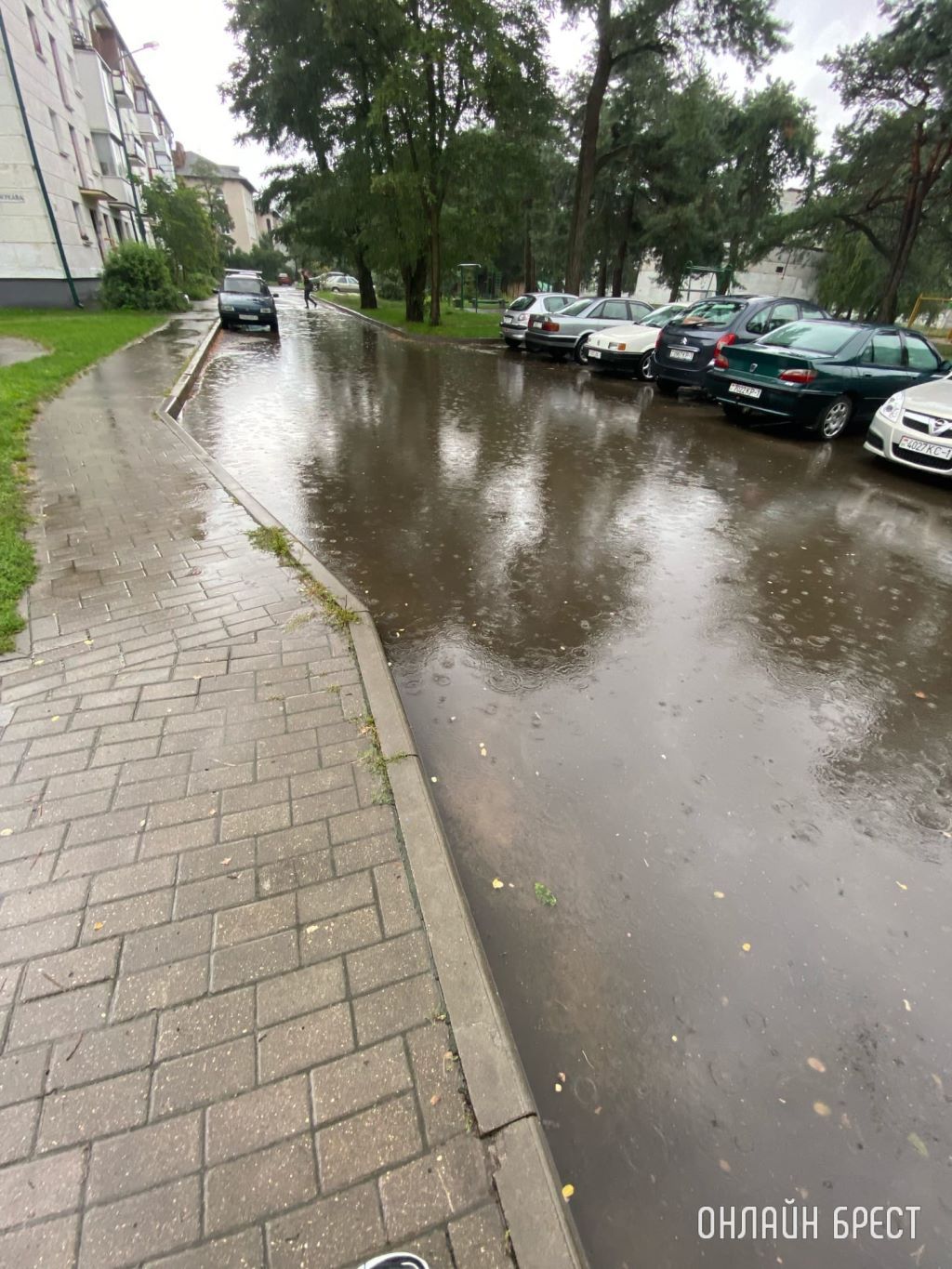 Вот такая история происходит каждый раз, когда идёт даже слабый дождь. Брест, Южный, Жукова, 12