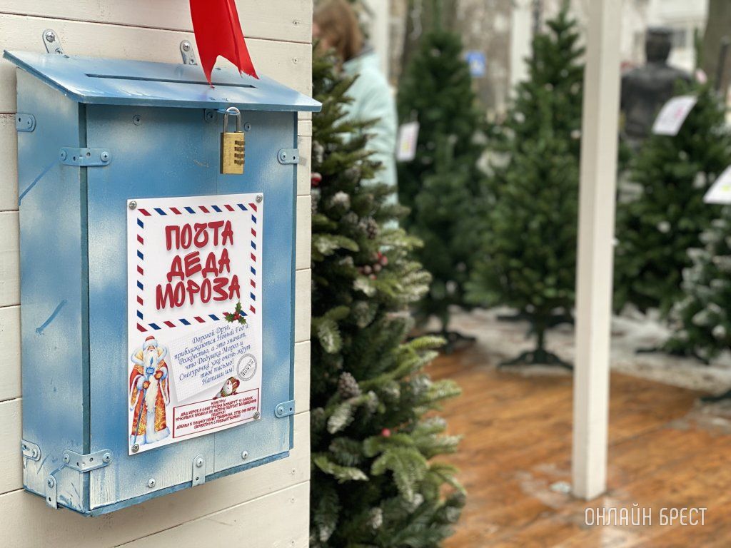 Читатель: Новогодняя улица Гоголя в Бресте. Фото сделаны вчера