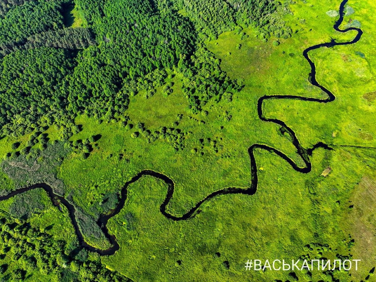 Беловежская пуща с высоты