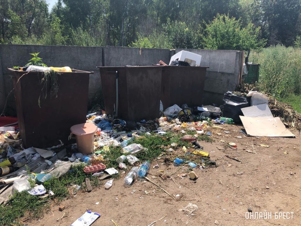 Читатель: Деревня Именин, Кобринский район. Деревня примыкает к городу. Такое происходит не редко