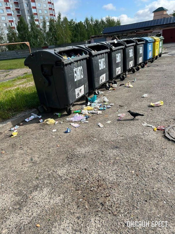 Читатель: Брест, ул. Советской Конституции 26/1. Надеюсь этим мусорным бака найдут правильное место