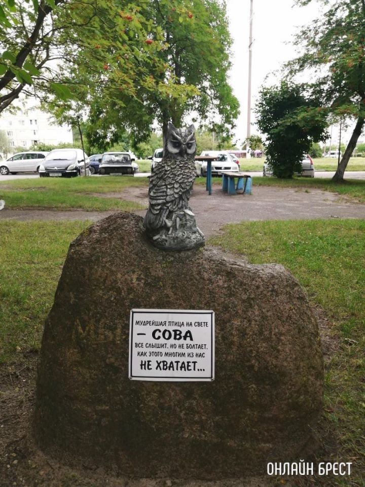 Не знал раньше, что в Бресте есть такая сова