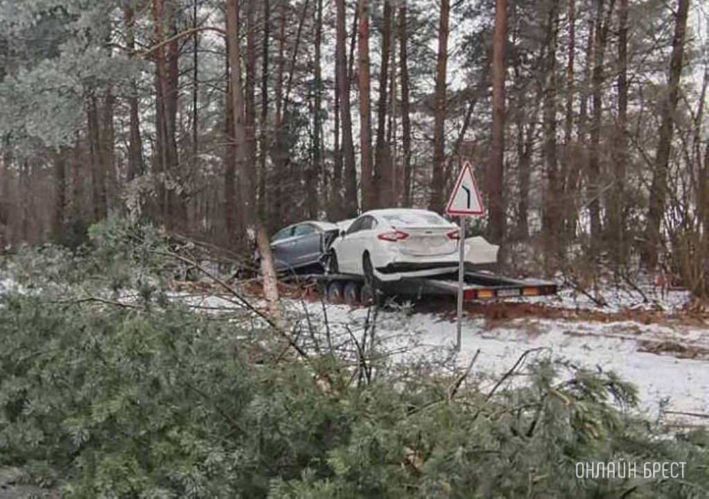 Очевидец: Брестская область. Под Ружанами прицеп, на котором были два автомобиля, съехал с дороги и врезался в дерево