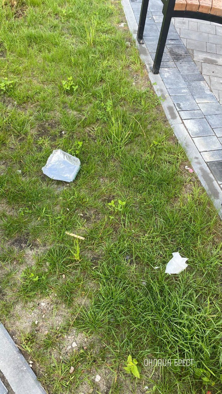 Читатель: Почему урны без дна? Или здесь должны быть мешки для мусора? Или так и должно быть? Что скажете? Брест, ул.Вульковская