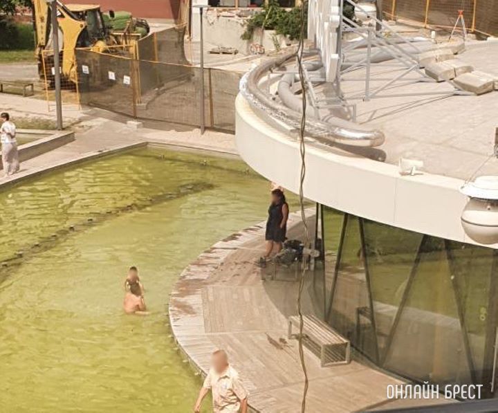 Очень волнует вопрос гигиены и эстетики. Разве такое поведение норма для центра Бреста?