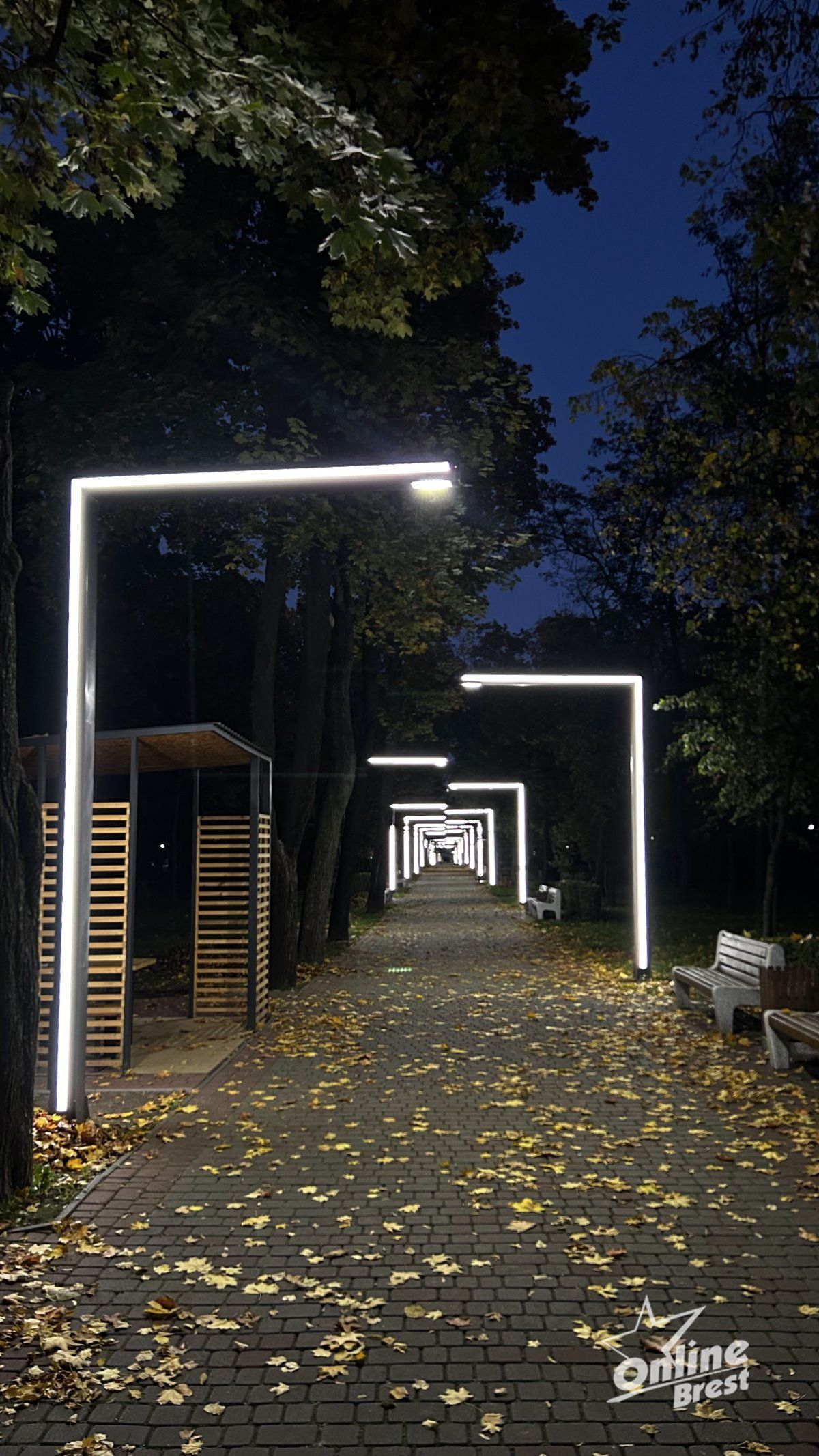 Красота осеннего Бреста: игра света и теней в парке