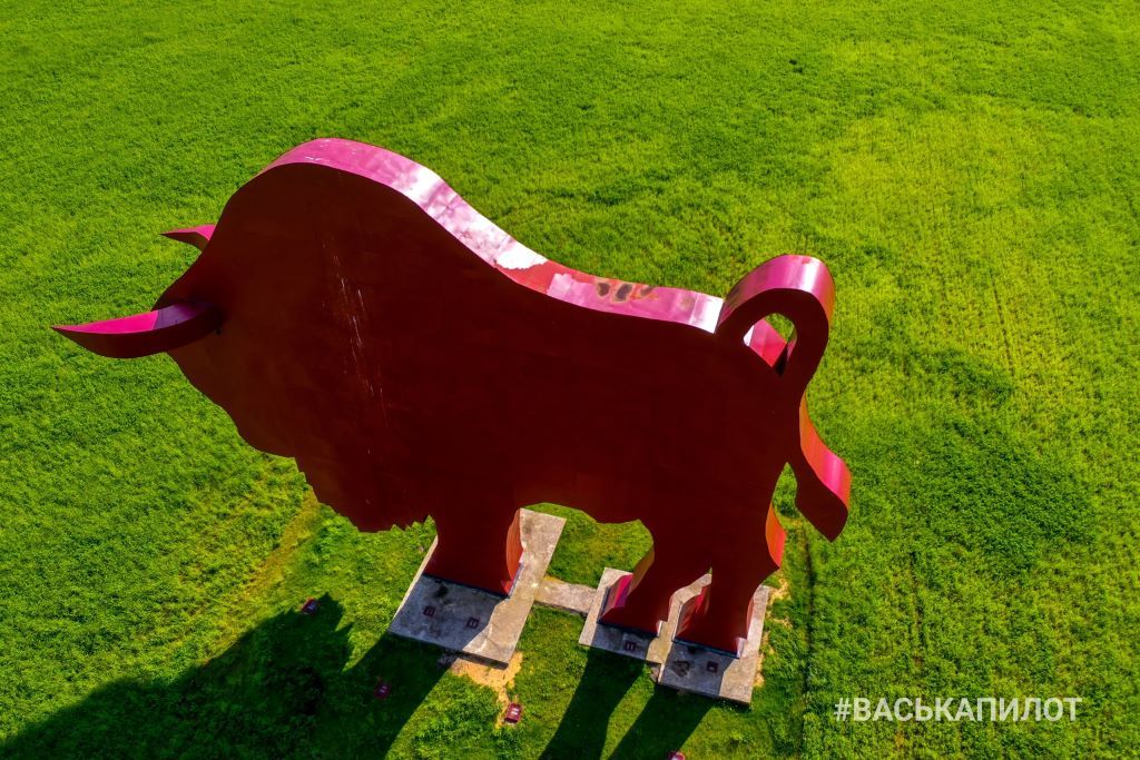 Зубр на трассе Брест-Минск