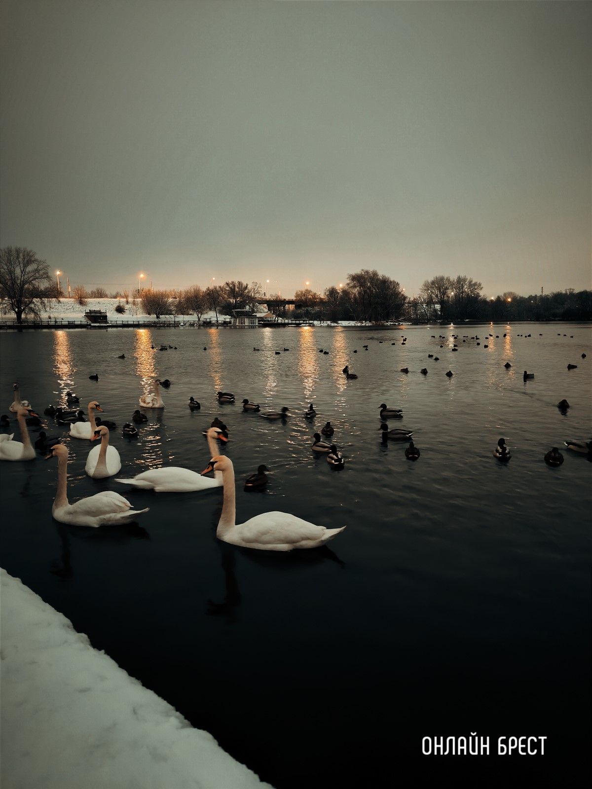 Прогулка по снежному Бресту