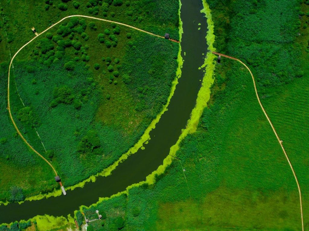 Экотропа в биологическом заказнике «Споровский» с двумя паромными переправами через реку Ясельда. Протяженность тропы 1,5 км