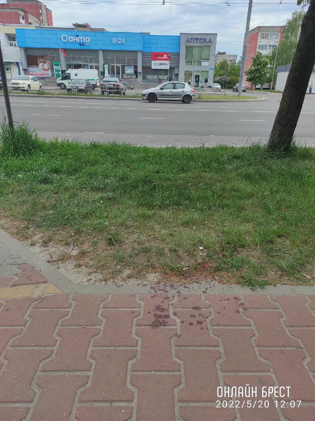 Читатель: Произошло столкновение велосипедиста с пешеходом. Просьба откликнуться свидетелей данного происшествия