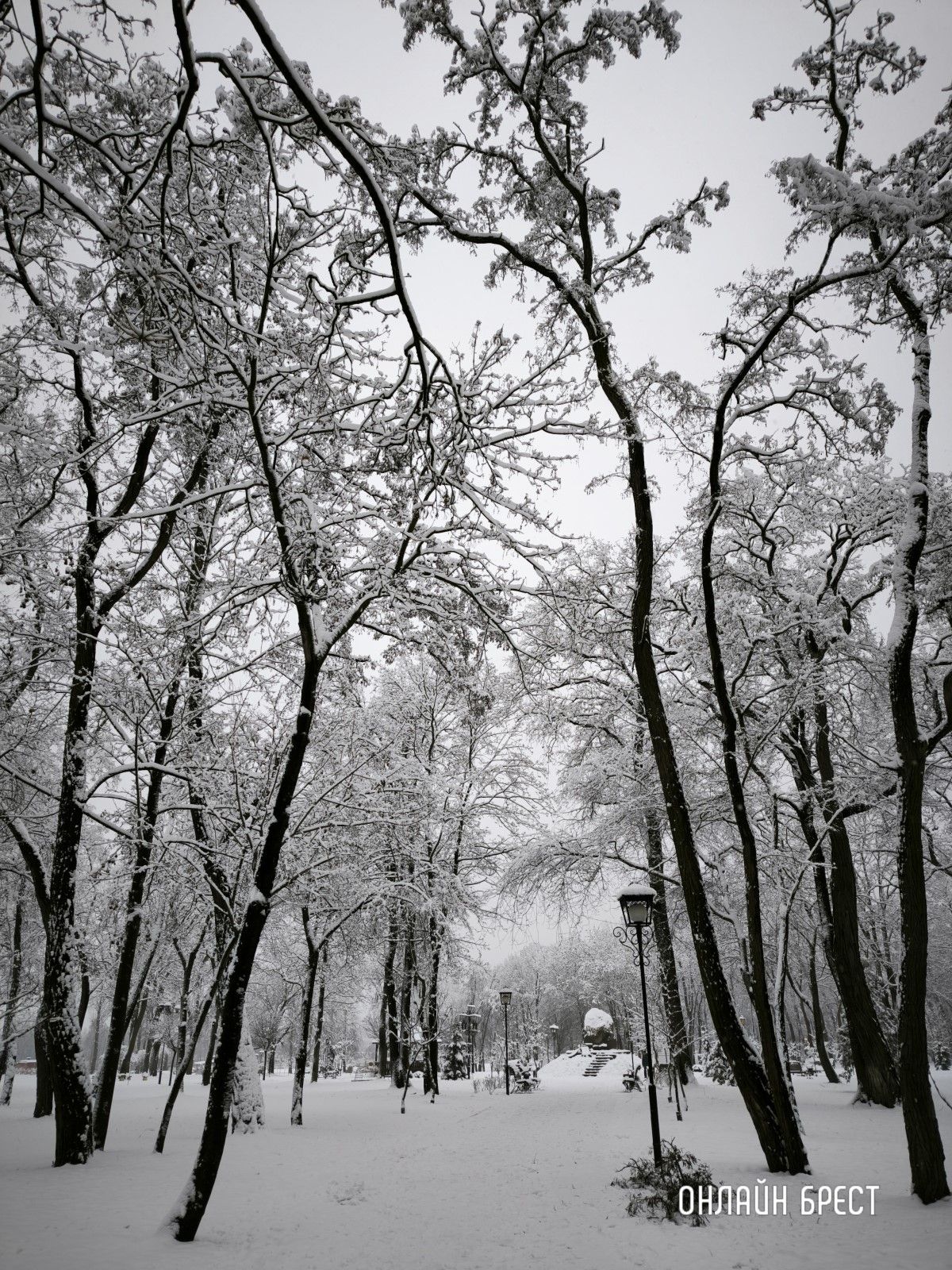 Прогулка по снежному Бресту