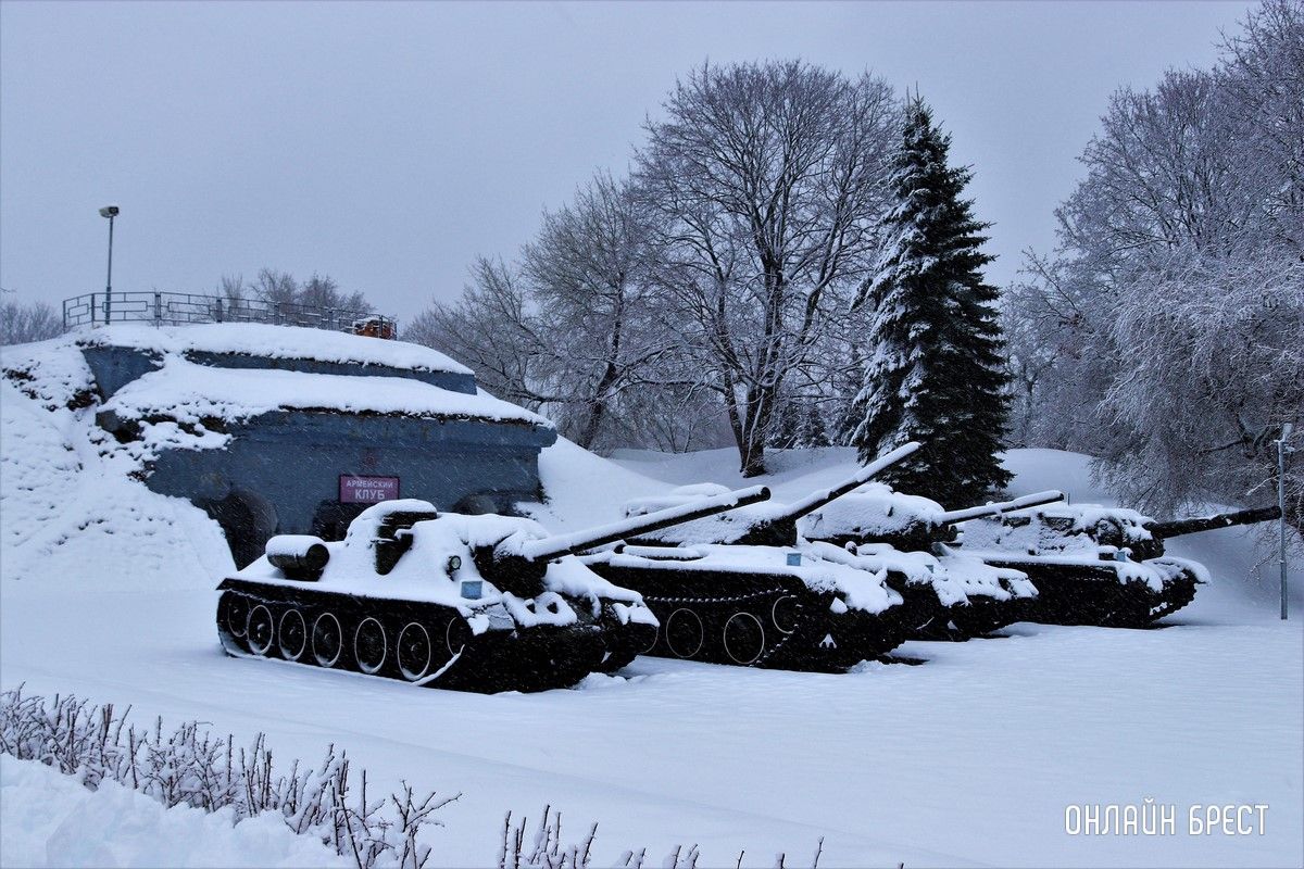 Читатель: Снежный апрель в Брестской крепости
