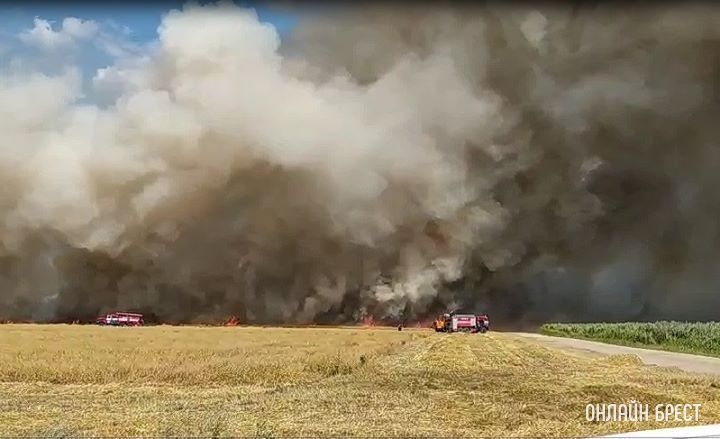 Серьёзный пожар в Пружанском районе