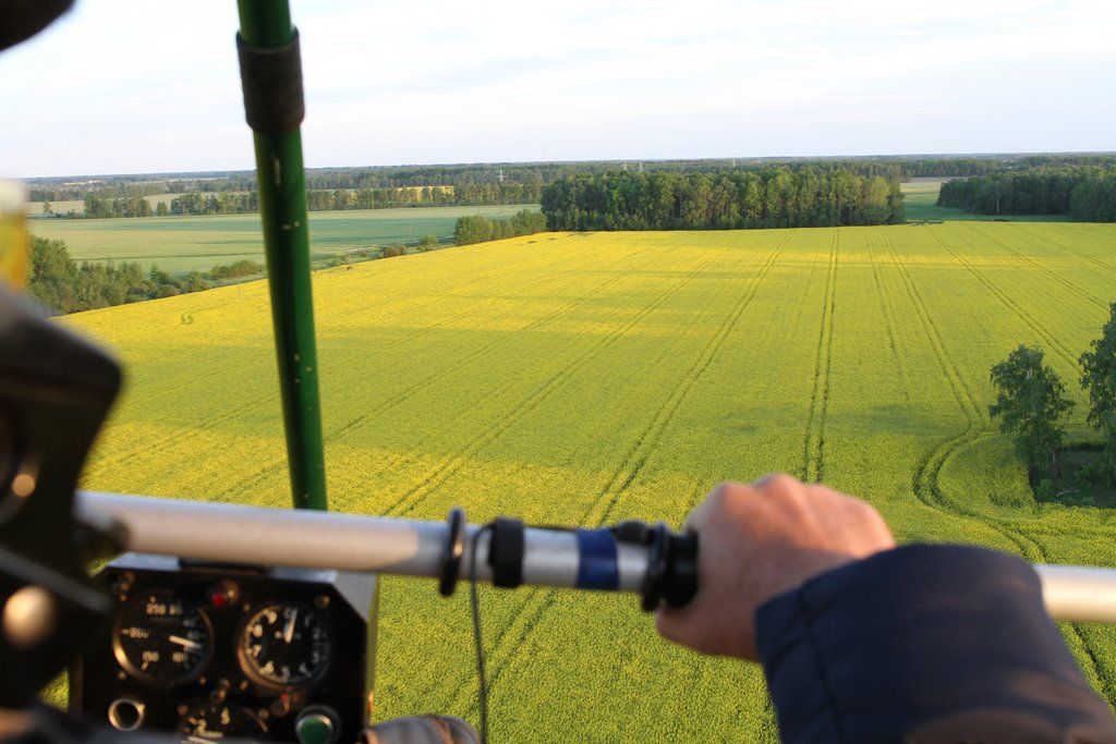 Читатель: Цветущие поля рапса в Бресте