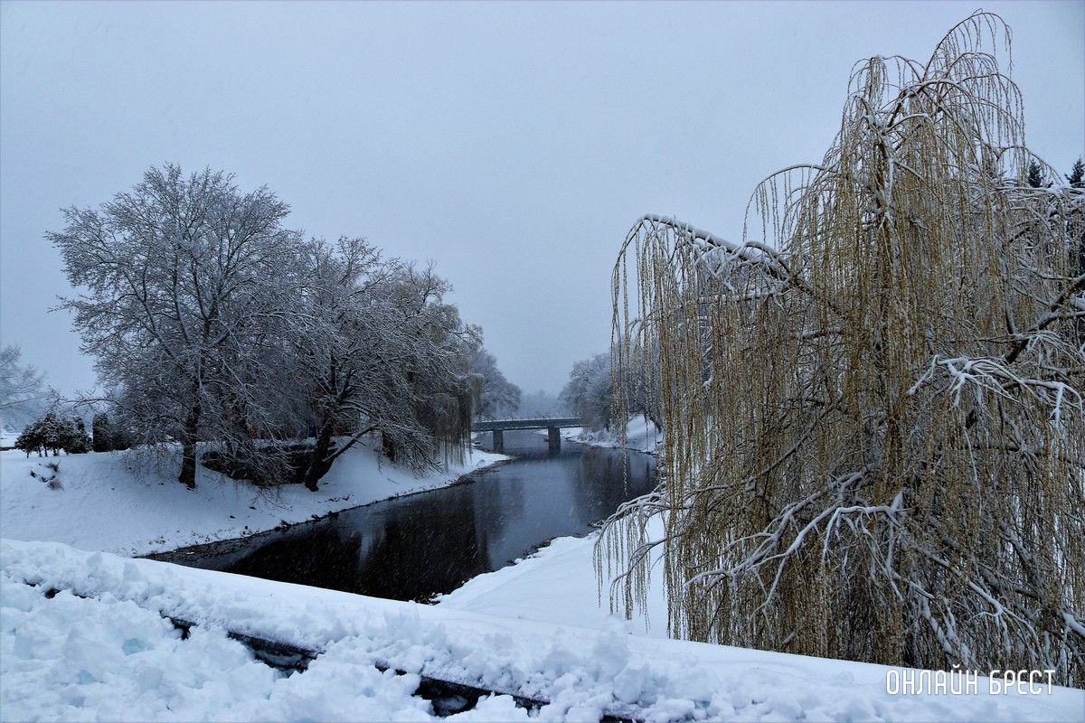 Читатель: Снежный апрель в Брестской крепости