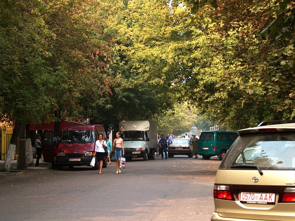 Читатель по поводу запрета перемещения на велосипедах по Советской