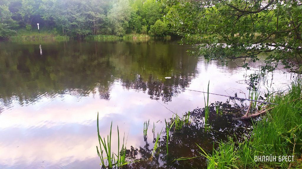 Выходной и ночная рыбалка жителя Бреста