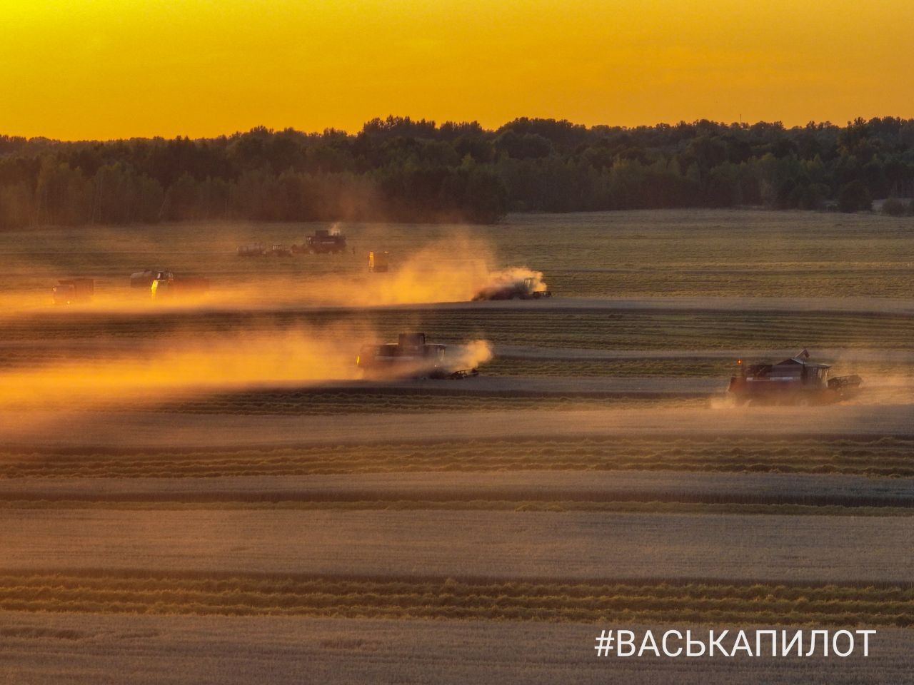 Комбайнеры в поле! Рабочий процесс уборки зерна в Брестском районе