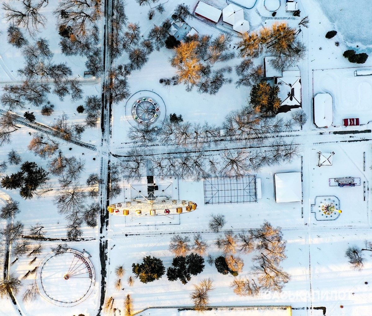 Немного зимней красоты в ленту