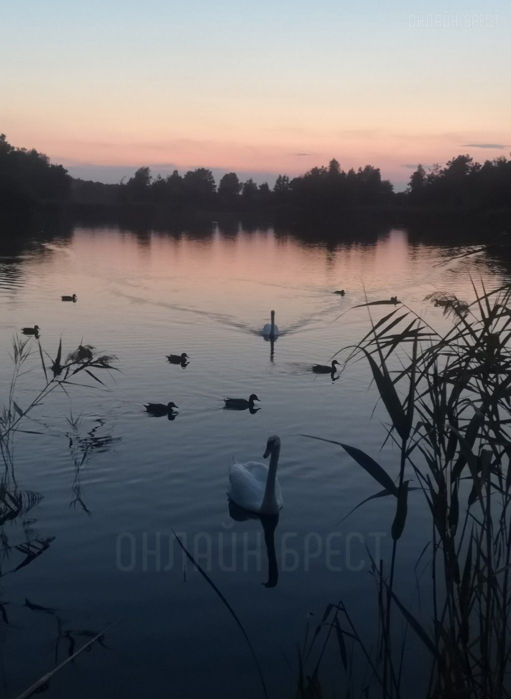 Читатель: Брест, Красный двор