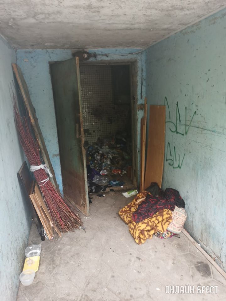 Читатель: Двери вываливаются и не закрываются, контейнеры стоят посреди двора, вонь сумасшедшая, дома окна не открыть. Полная антисанитария