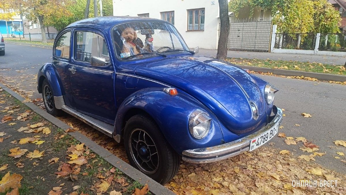 Читатель: Такой классный автомобиль можно увидеть в центре Бреста. А какая милашка сидит на пассажирском