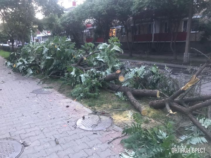 Вчера вечером вышла на улицу и оказалась в легком шоке