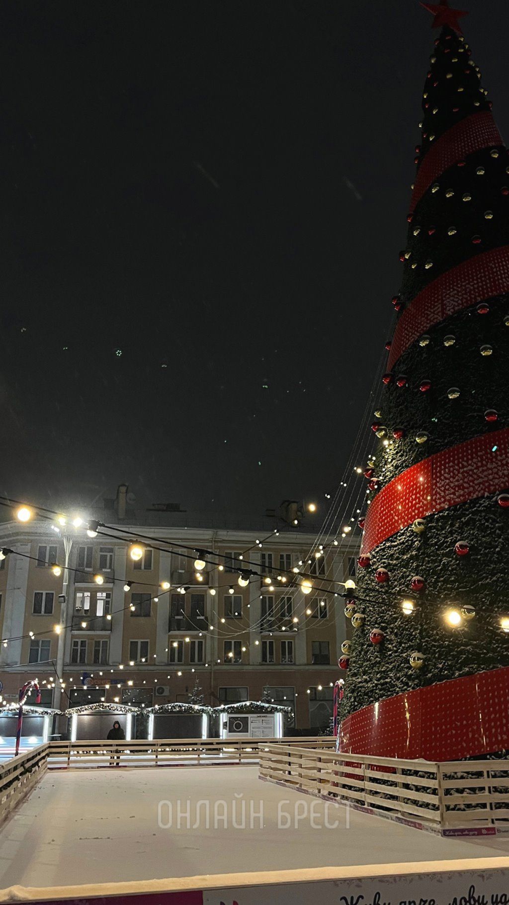 Главная новогодняя красавица Бреста. Фото сделаны сегодня ночью