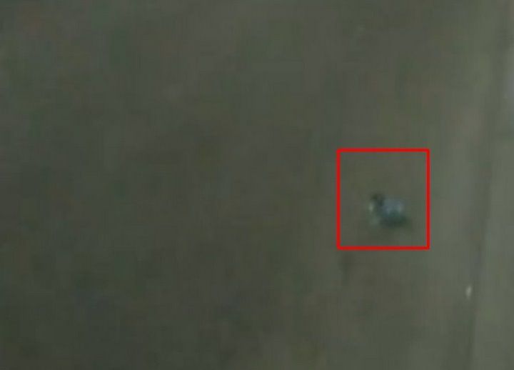 Читатель: В Бресте прошлой ночью на Машерова из авто выкинули несколько бутылок из под водки.