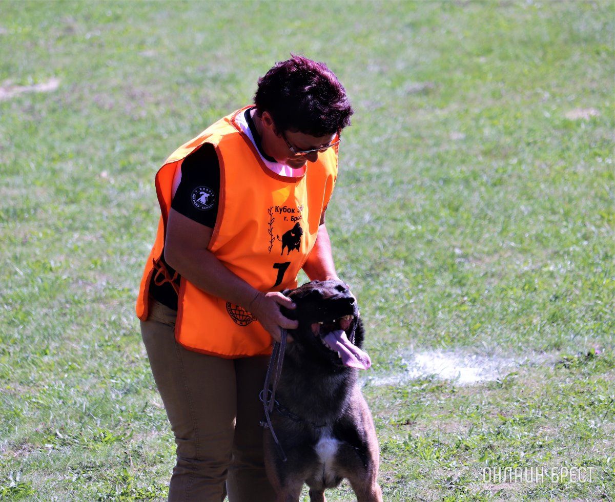 Читатель: Состязания кинологов на Гребном в Бресте. Небольшой фоторепортаж