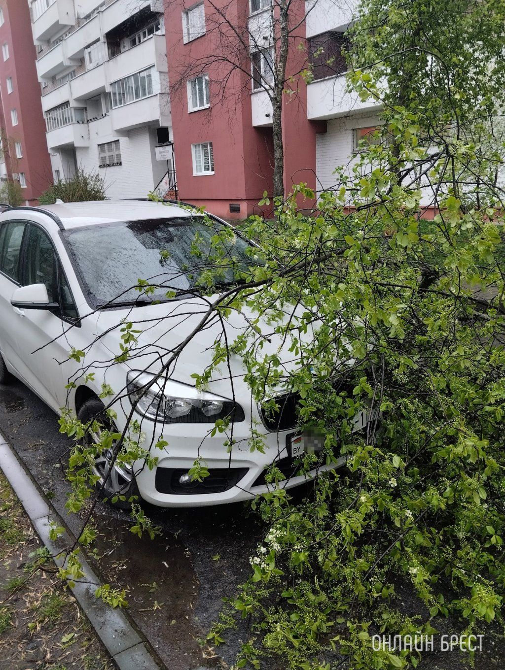 Читатель: Сегодня в Бресте, за остановкой бульвар Космонавтов