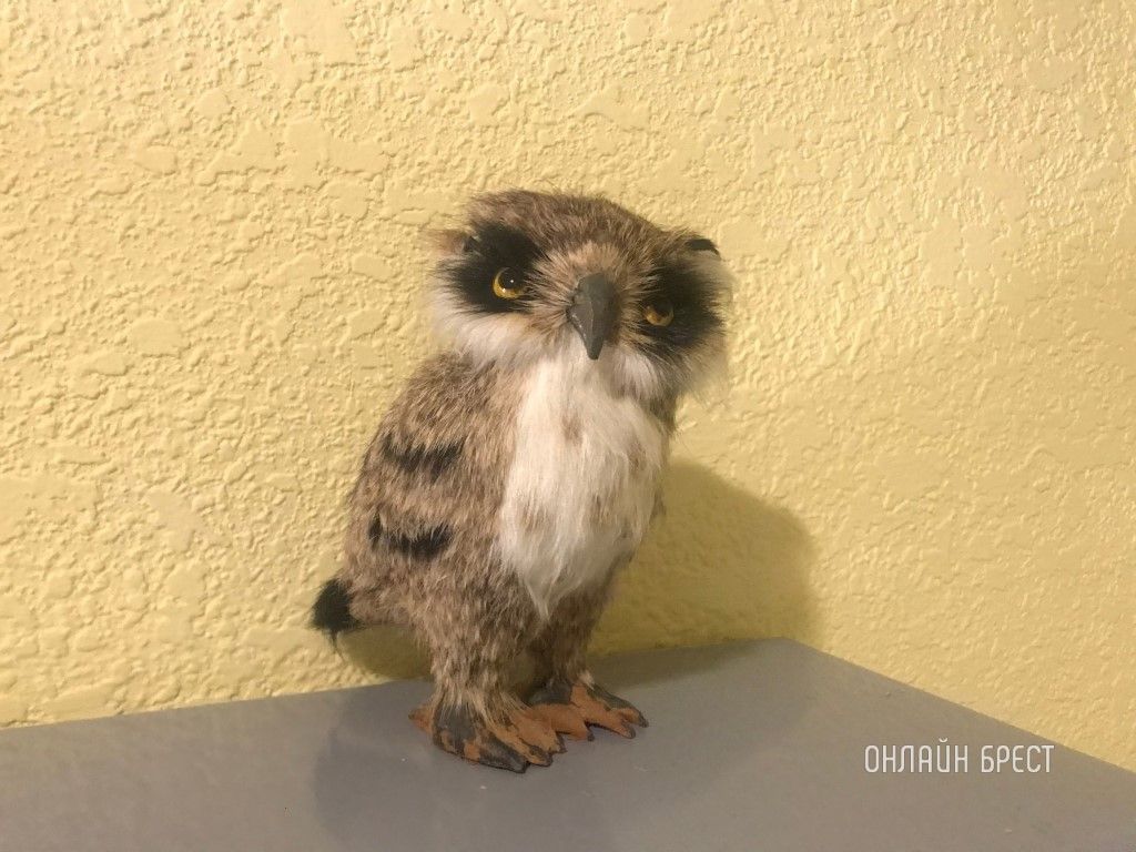 Читатель: В подъезде одного из многоквартирных домов Бреста, микрорайон Вулька. Респект жильцам!