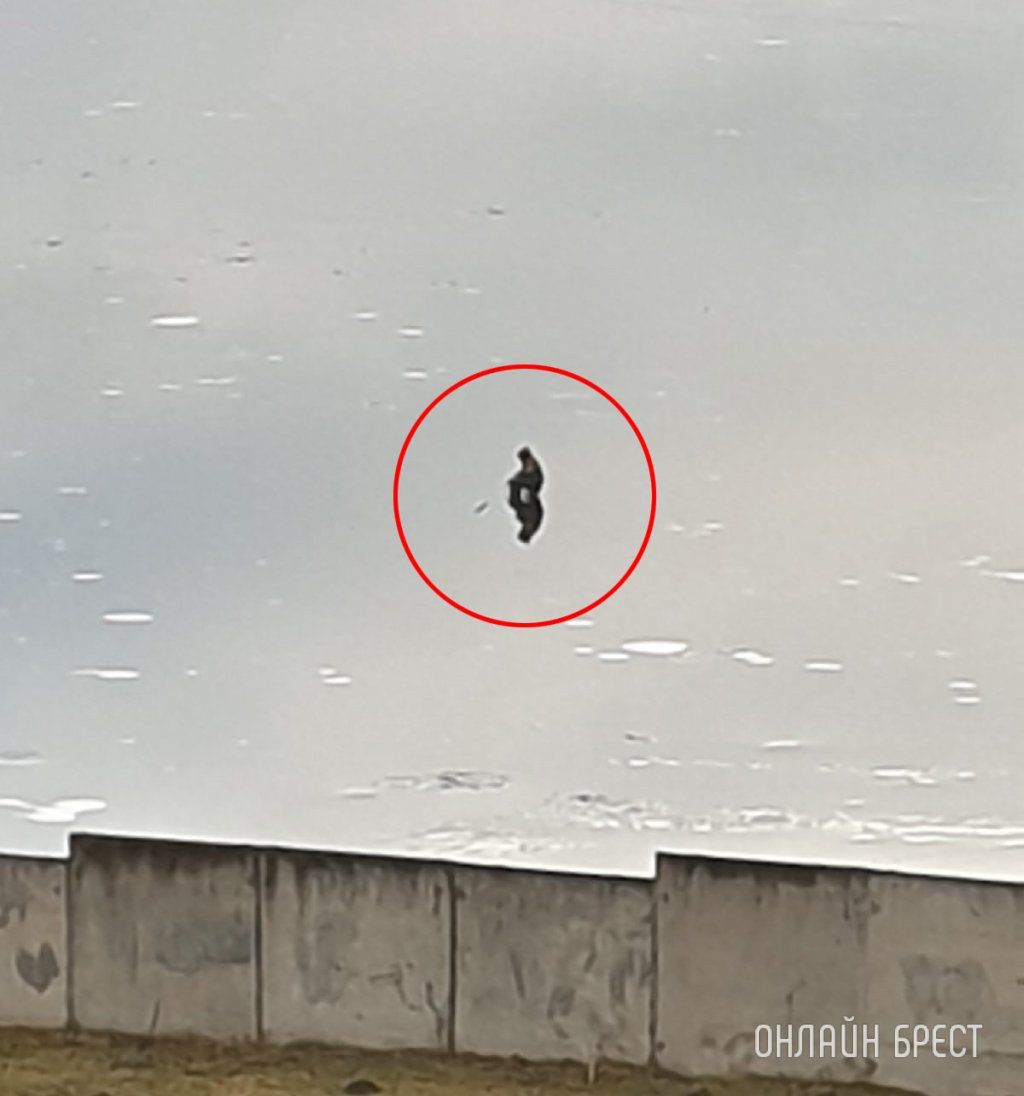 Читатель: Вот такой экстремальный рыбак. За 6 больницей в Бресте