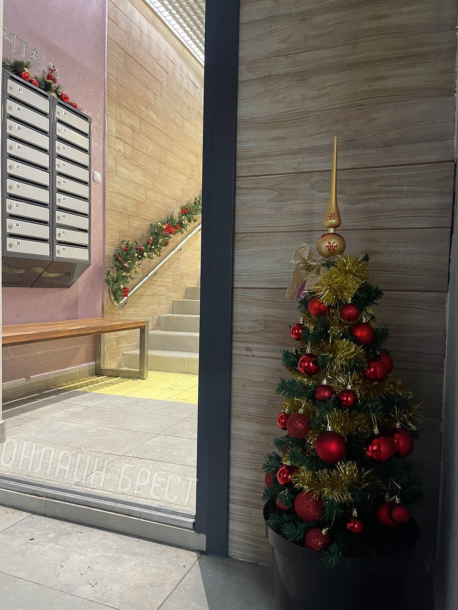 Читатель: Украшение подъезда на ул. ГОБК в Бресте