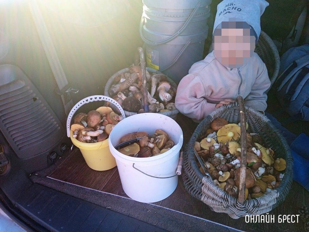 Читатель: Так сходили мы по грибы. «Охота» удалась!