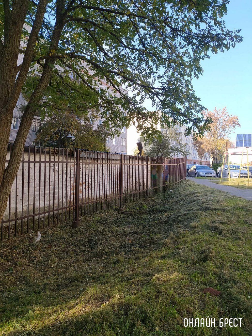 Читатель: Родители, следите за тем, чем занимаются ваши дети!