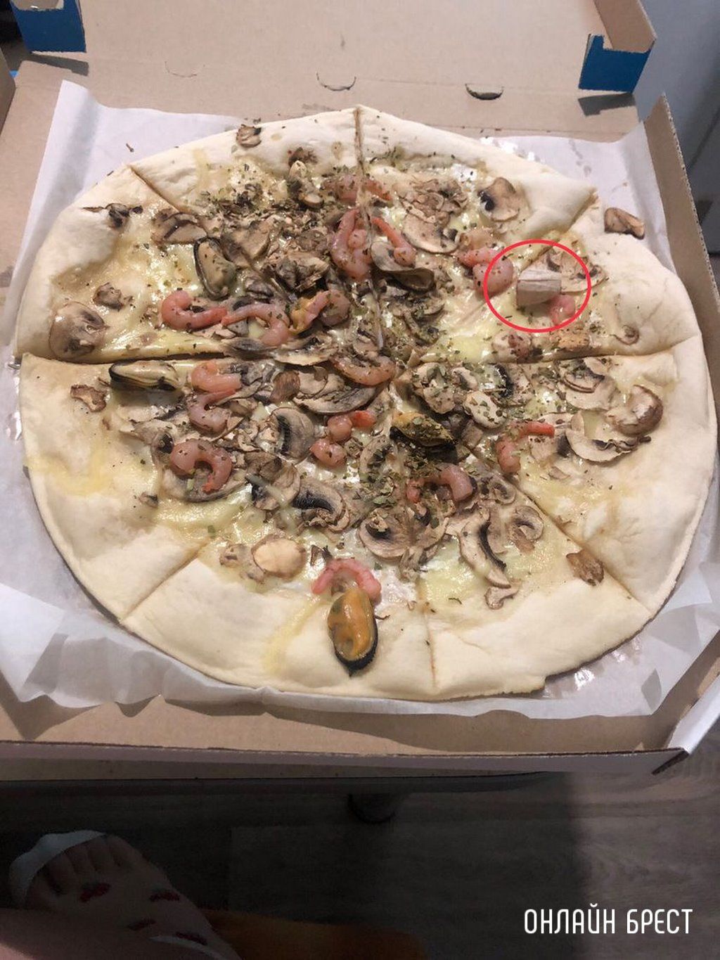 Читатель: Вот такую пиццу нам дали в одном из магазинов Бреста. А внутри сюрприз, чуть зубы не сломали