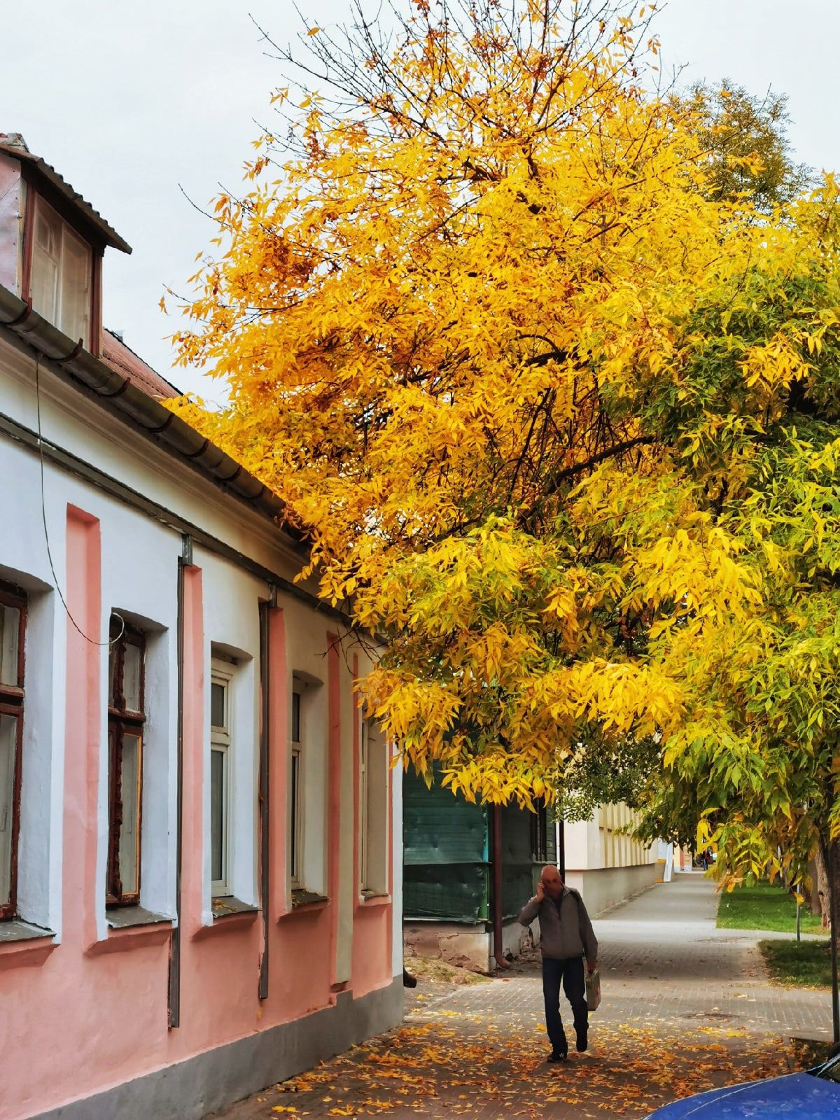 Осенние улочки Бреста