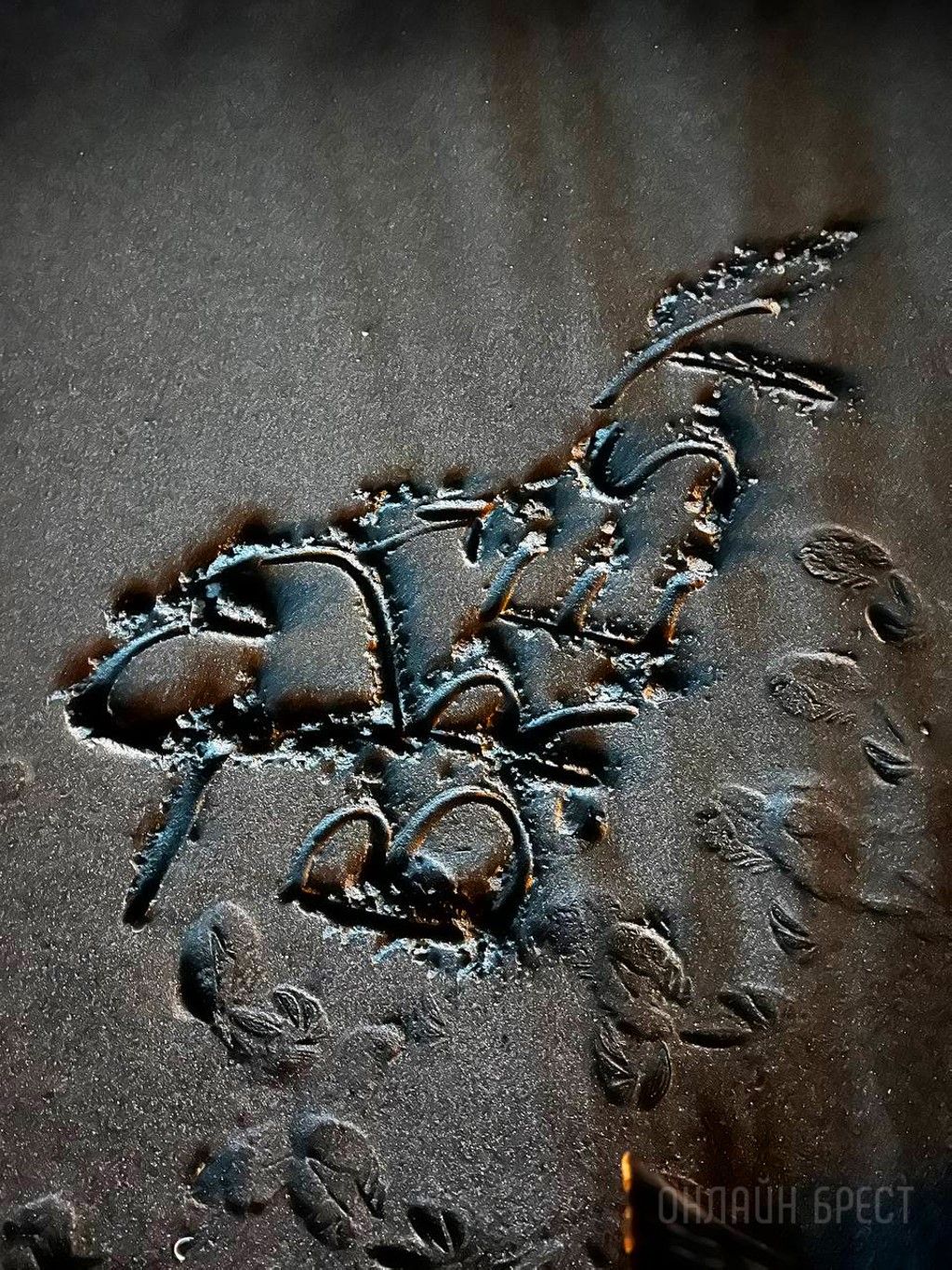 Читательница: Привет Бресту из Сочи!