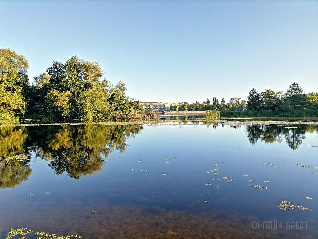 Читатель: Немного фотографий природы. Соя и Мухавец в Бресте