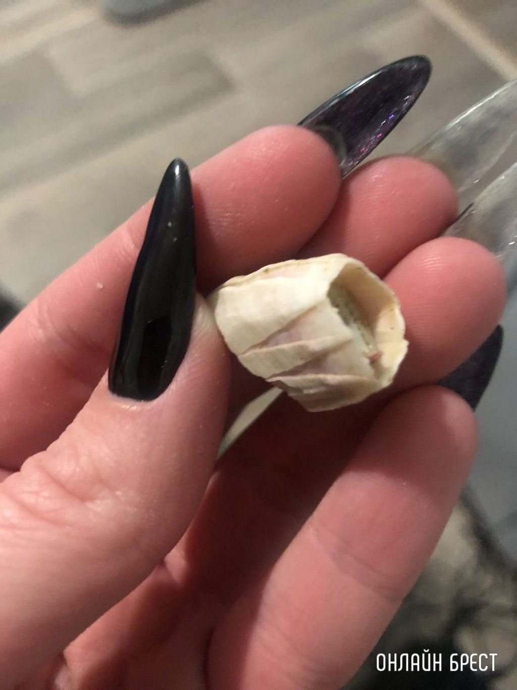 Читатель: Вот такую пиццу нам дали в одном из магазинов Бреста. А внутри сюрприз, чуть зубы не сломали