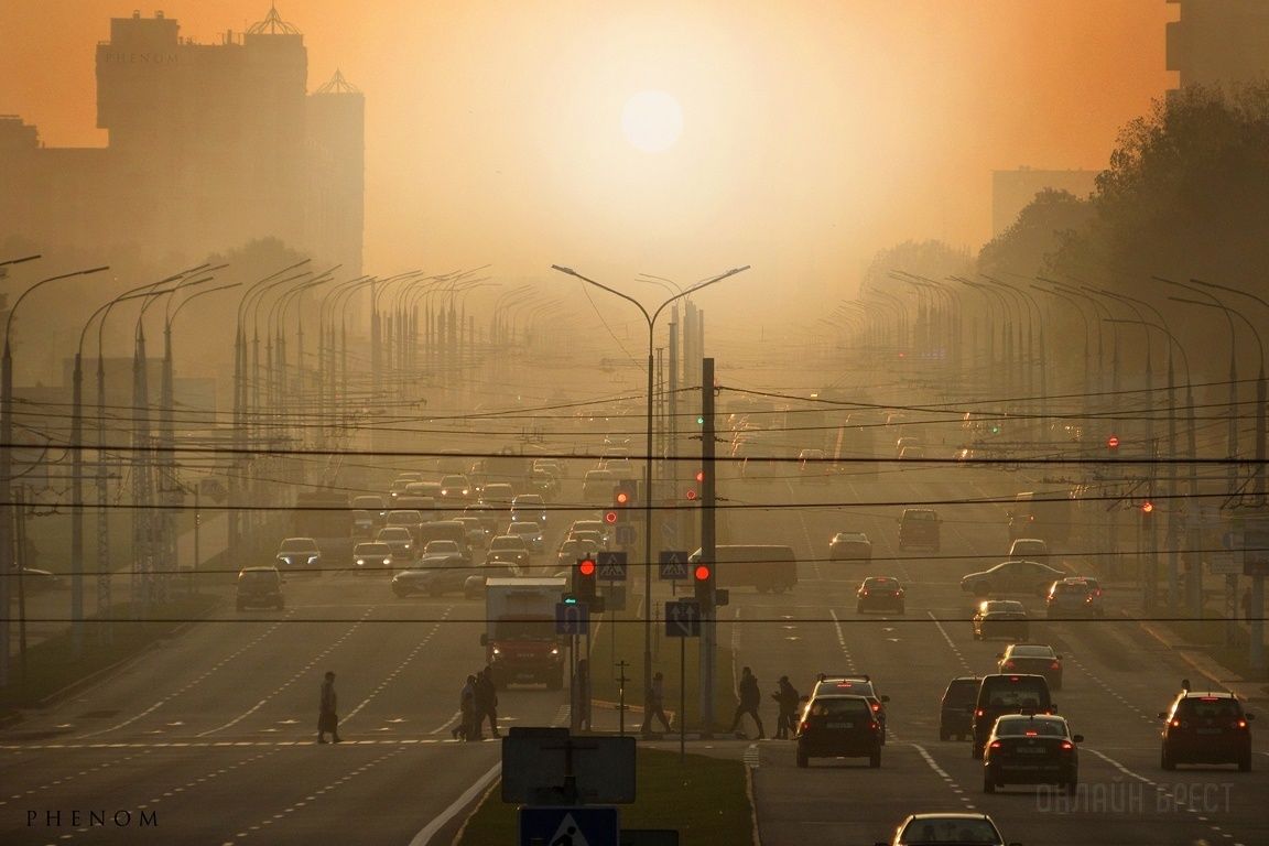 Читатель: Подобные кадры состоят практически на 100% из удачи и 0% из мастерства и опыта