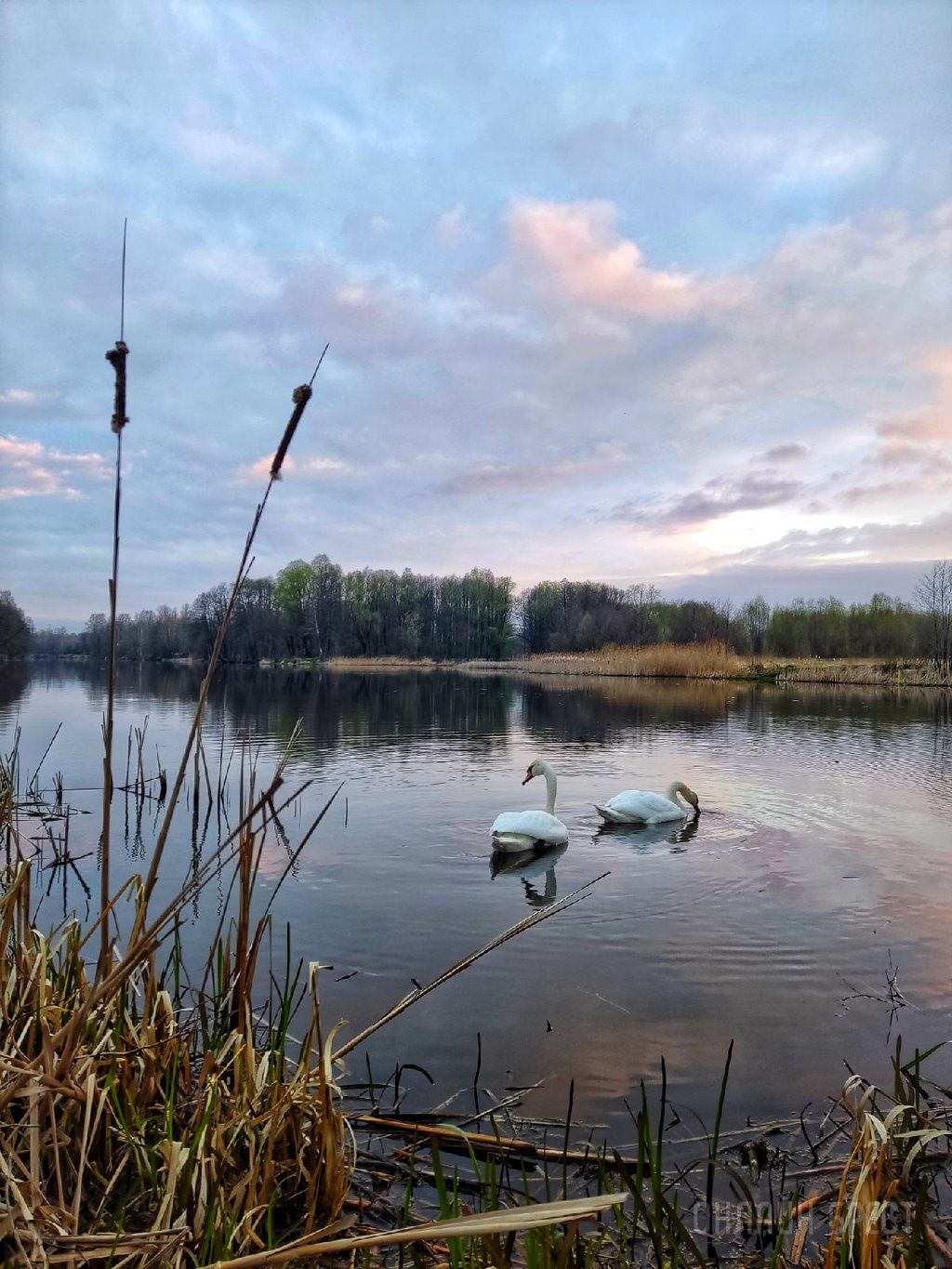 Читатель: Сегодняшнее утро в городе-спутнике Бреста (Жабинка). Красиво