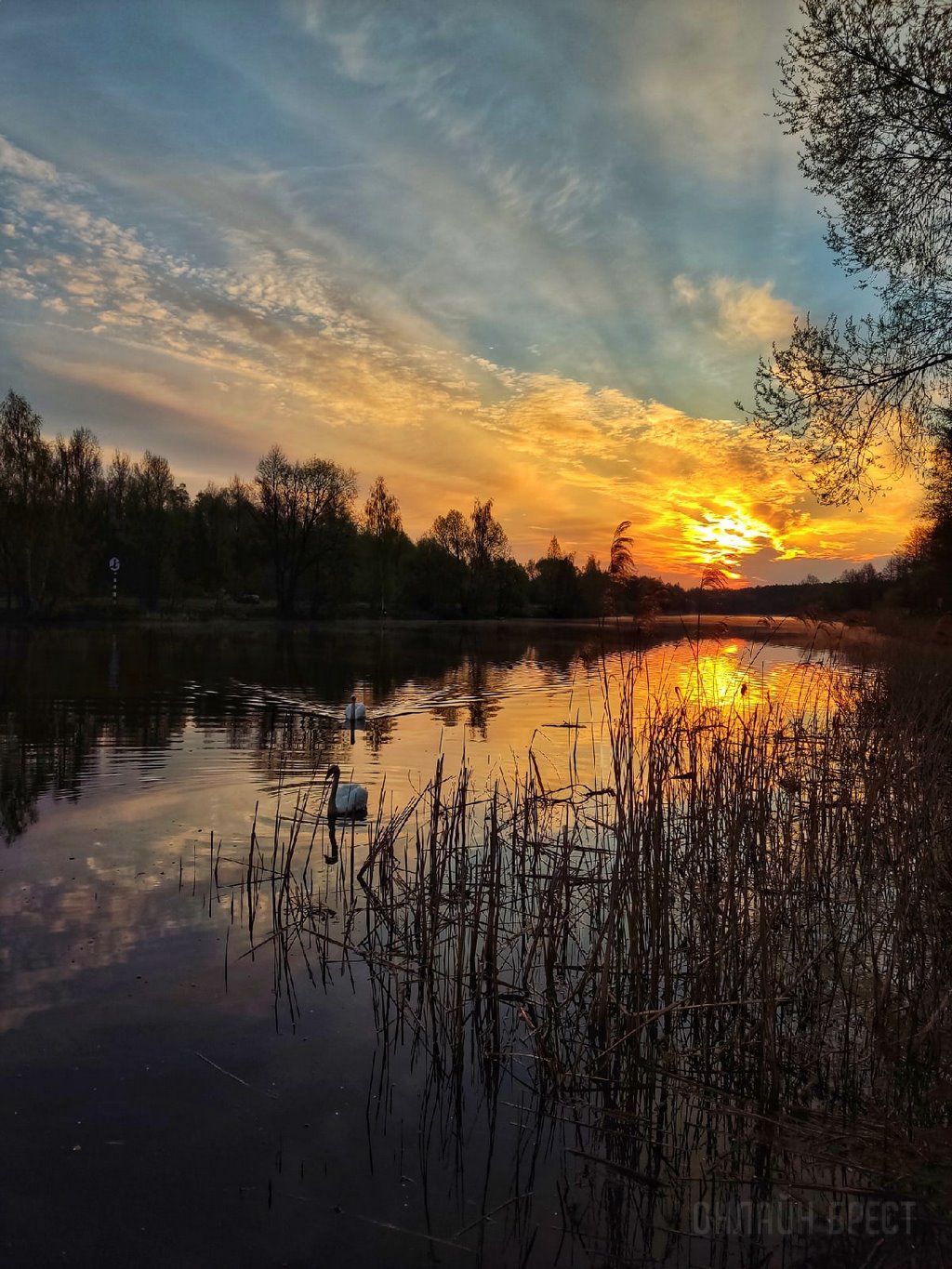 Читатель: Весенний рассвет в городе-спутнике Бреста (Жабинка)